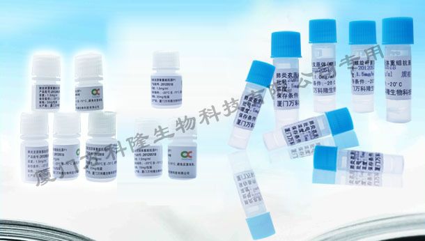 人細(xì)小病毒(B19-Ag1)重組抗原